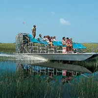 Gator Park