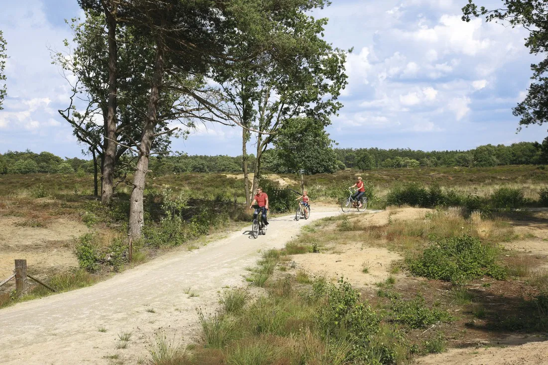recreatiecentrum-de-waldsang-bakkeveen-156q4