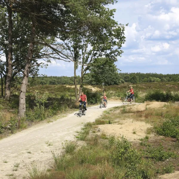 recreatiecentrum-de-waldsang-bakkeveen-156q4
