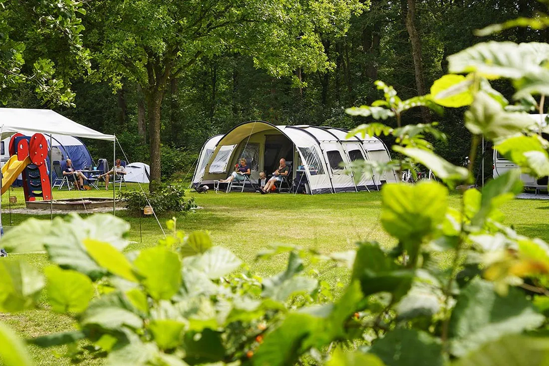 recreatiecentrum-de-waldsang-bakkeveen-aujco