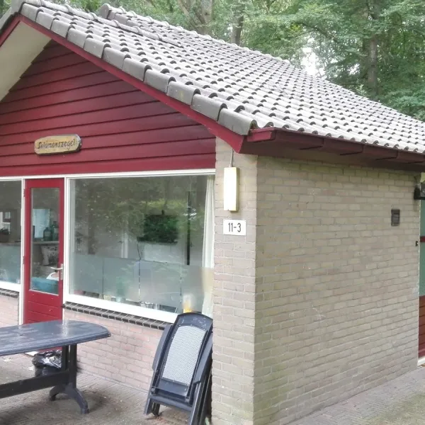 recreatiecentrum-de-waldsang-bakkeveen-dsrvt