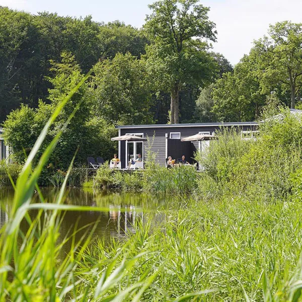 recreatiecentrum-de-waldsang-bakkeveen-uzm0b