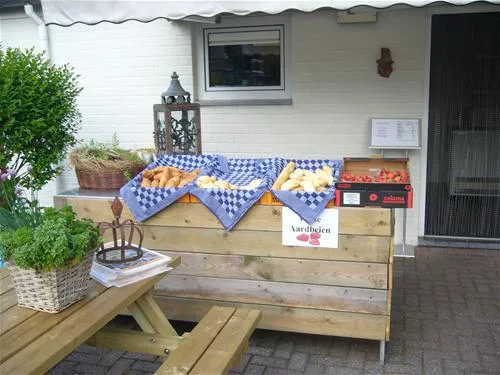 camping-vinkenhof-schin-op-geul-qy3z1