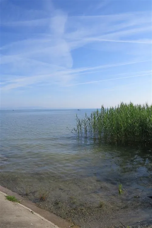 campingplatz-buchhorn-arbon-fpw8y