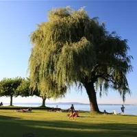 campingplatz-buchhorn-arbon-owbf3