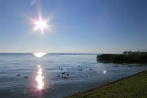 campingplatz-buchhorn-arbon-zulcm