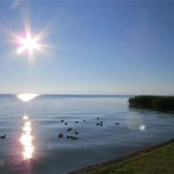 campingplatz-buchhorn-arbon-zulcm