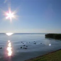 campingplatz-buchhorn-arbon-zulcm