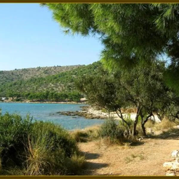 camping-kosirina-betina-azovx