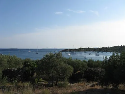camping-kosirina-betina-d8hgu