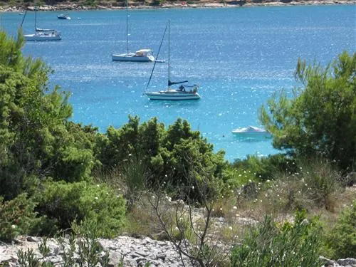 camping-kosirina-betina-nh9nn