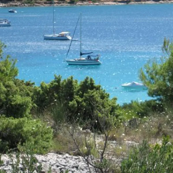 camping-kosirina-betina-nh9nn