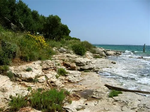 camping-kosirina-betina-uojsy