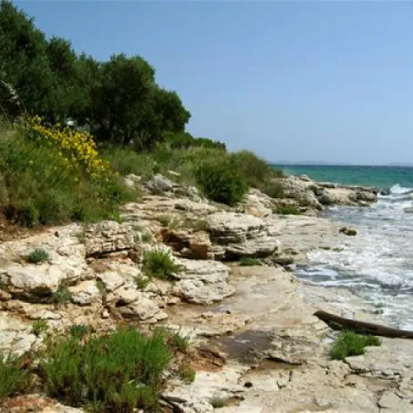 camping-kosirina-betina-uojsy