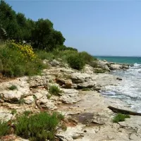 camping-kosirina-betina-uojsy
