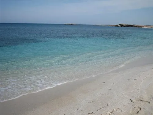 campeggio-is-aruttas-cabras-cqyul