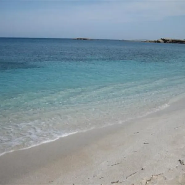 campeggio-is-aruttas-cabras-cqyul