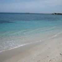 campeggio-is-aruttas-cabras-cqyul