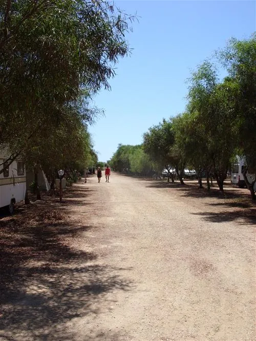 campeggio-is-aruttas-cabras-zl2zq