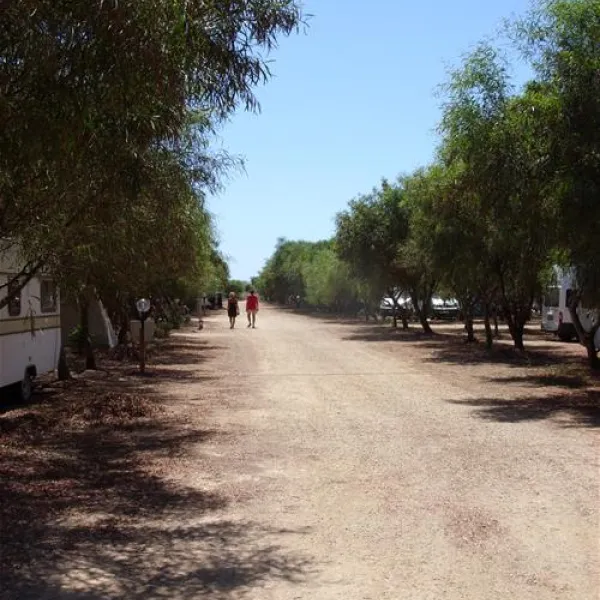 campeggio-is-aruttas-cabras-zl2zq