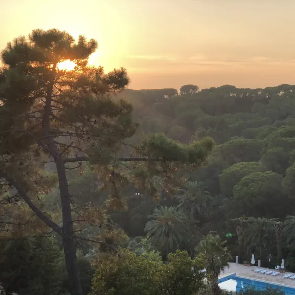 campeggio-rosselba-le-palme-portoferraio-mnmbe