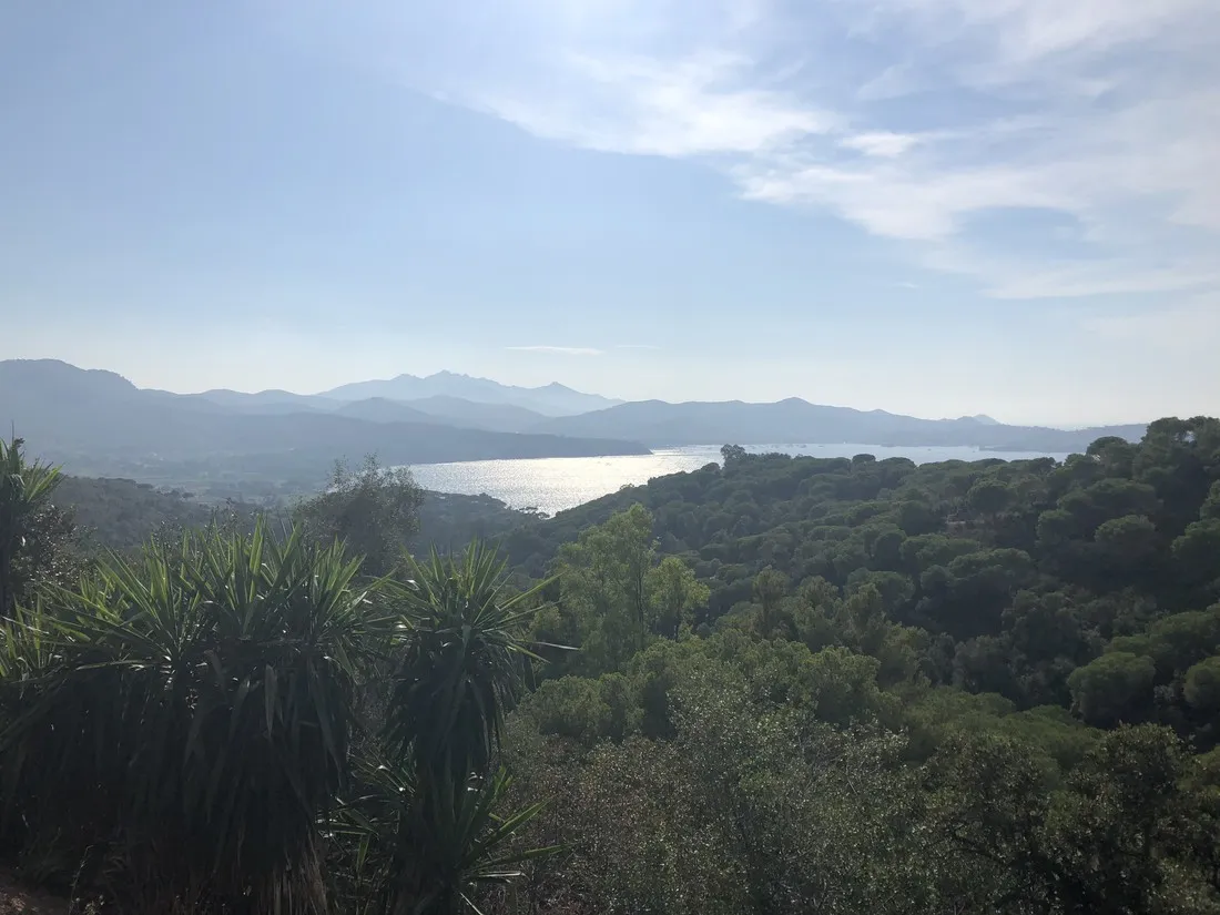 campeggio-rosselba-le-palme-portoferraio-qwvtz