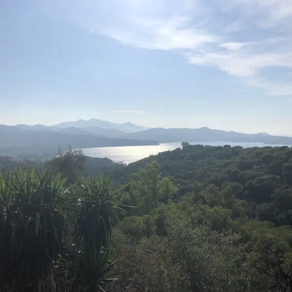 campeggio-rosselba-le-palme-portoferraio-qwvtz
