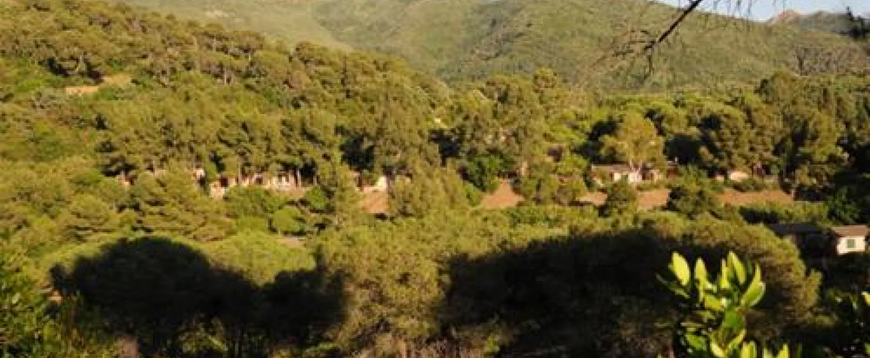 Campeggio Rosselba le Palme