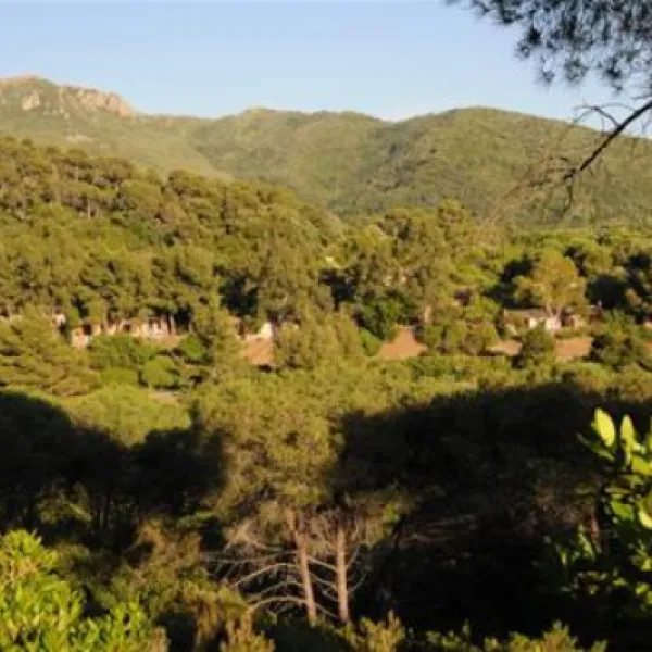 Campeggio Rosselba le Palme