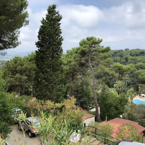 campeggio-rosselba-le-palme-portoferraio-v5c9w