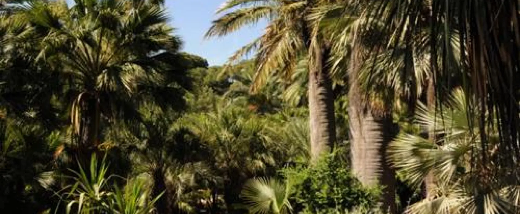 Campeggio Rosselba le Palme