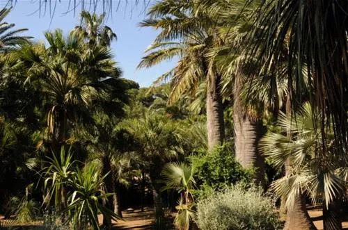 campeggio-rosselba-le-palme-portoferraio-yvpvg