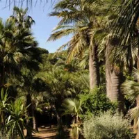 campeggio-rosselba-le-palme-portoferraio-yvpvg