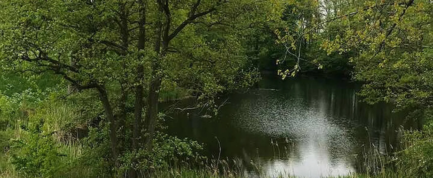 Camping Betuwe