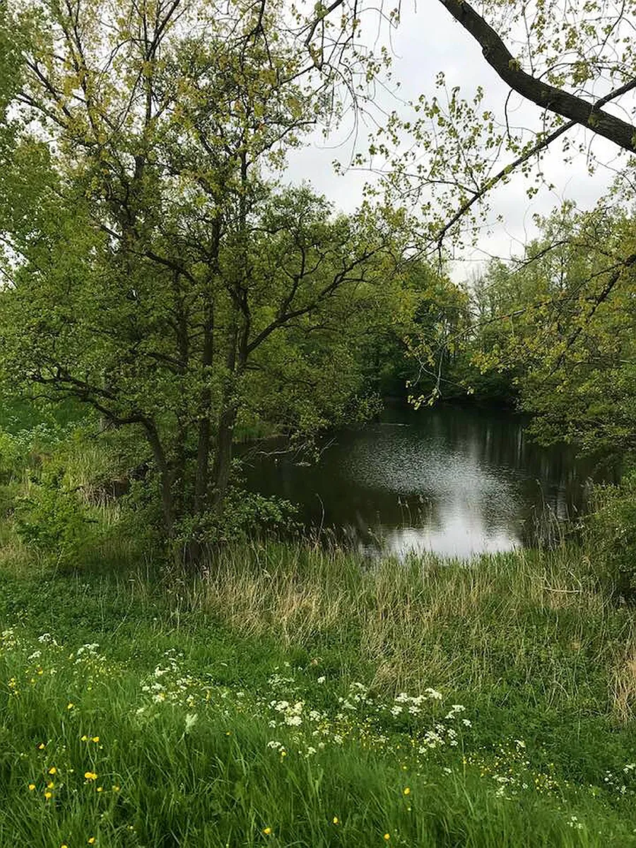 camping-betuwe-kesteren-6drh2