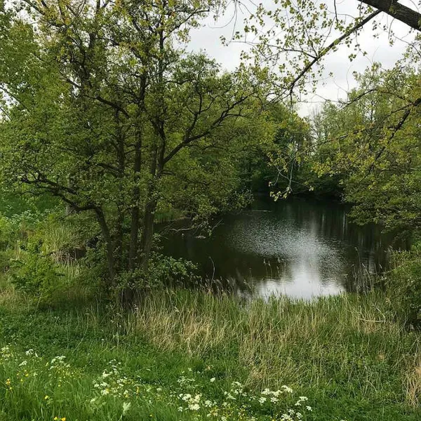 camping-betuwe-kesteren-6drh2
