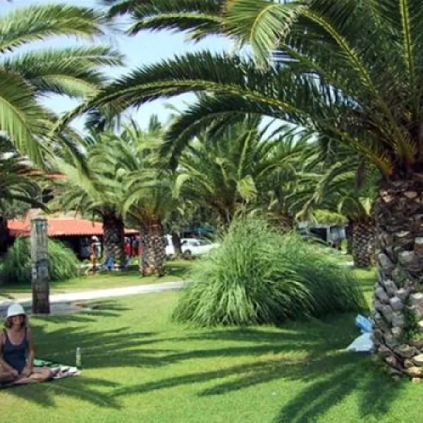 campsite-castello-neos-marmaras-vzyu4