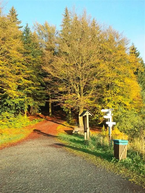 campingplatz-fichtelsee-fichtelberg-ssgw8