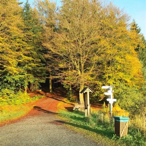 campingplatz-fichtelsee-fichtelberg-ssgw8