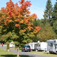 Campingplatz Fichtelsee