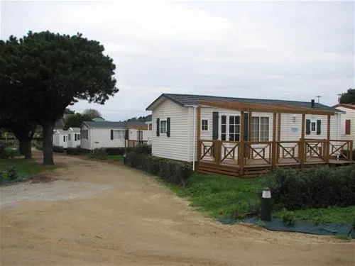 camping-les-palmiers-la-trinit-sur-mer-bklb8