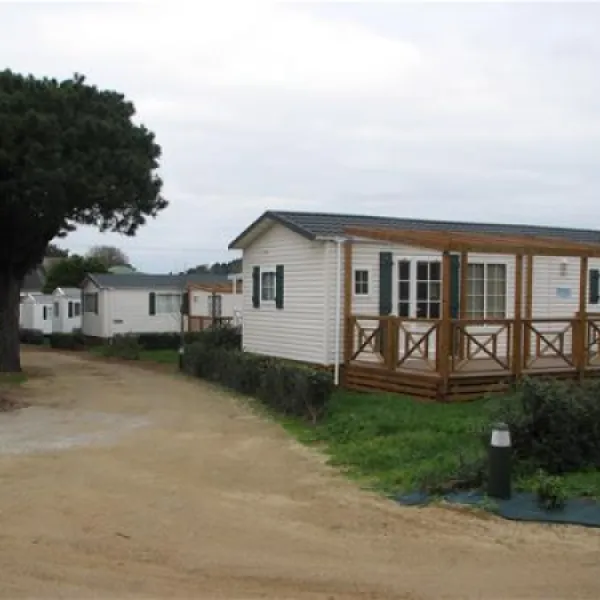 camping-les-palmiers-la-trinit-sur-mer-bklb8