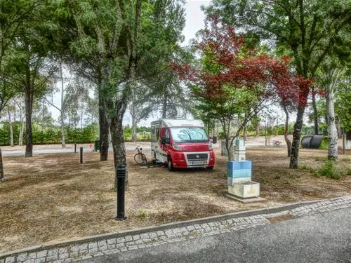 parque-de-campismo-municipal-de-castelo-branco-castelo-branco-1jfgk