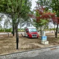 parque-de-campismo-municipal-de-castelo-branco-castelo-branco-1jfgk