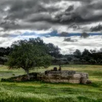 parque-de-campismo-municipal-de-castelo-branco-castelo-branco-sofqw