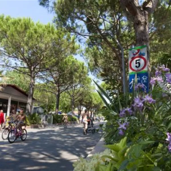 camping-ca-pasquali-cavallinotreporti-adivi