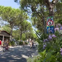 camping-ca-pasquali-cavallinotreporti-adivi