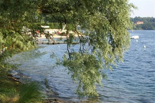 camping-verde-lago-pettenasco-frun2