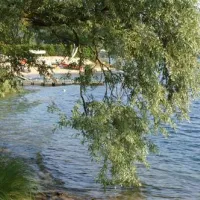 camping-verde-lago-pettenasco-frun2