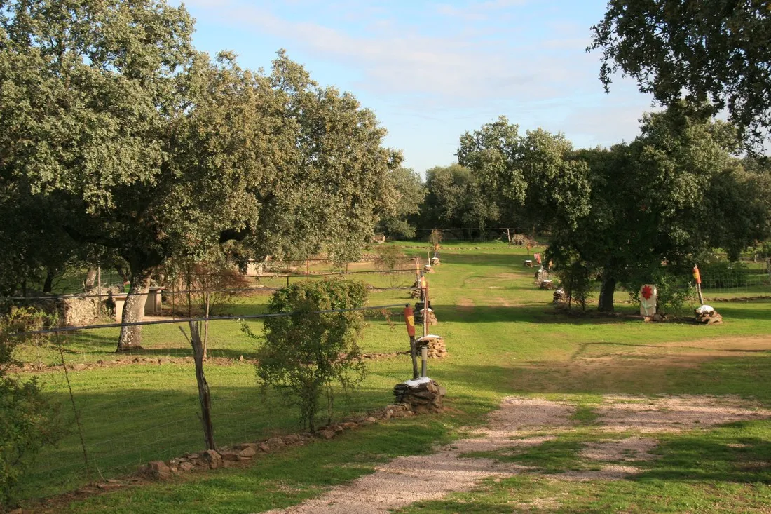 camping-las-grullas-benquerencia-2rwsi